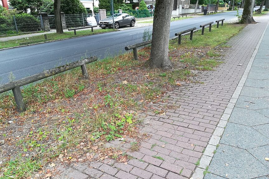 Radweg Karl-Liebknecht-Str. Nicht gesäuberter Radweg Karl-Liebknecht-Str.