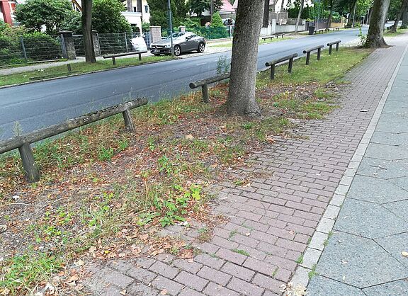 Nicht gesäuberter Radweg Karl-Liebknecht-Str.